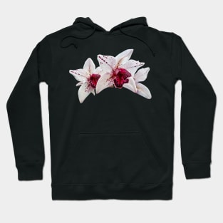 Orchid - Cymbidium Baltic Dew Freckle Face Hoodie